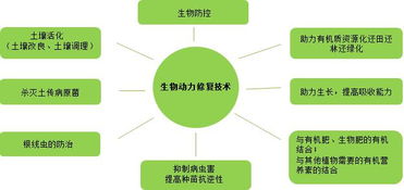 復振科技 從醫藥跨界環保的“野蠻人”，如何在環境科技領域開疆拓土？